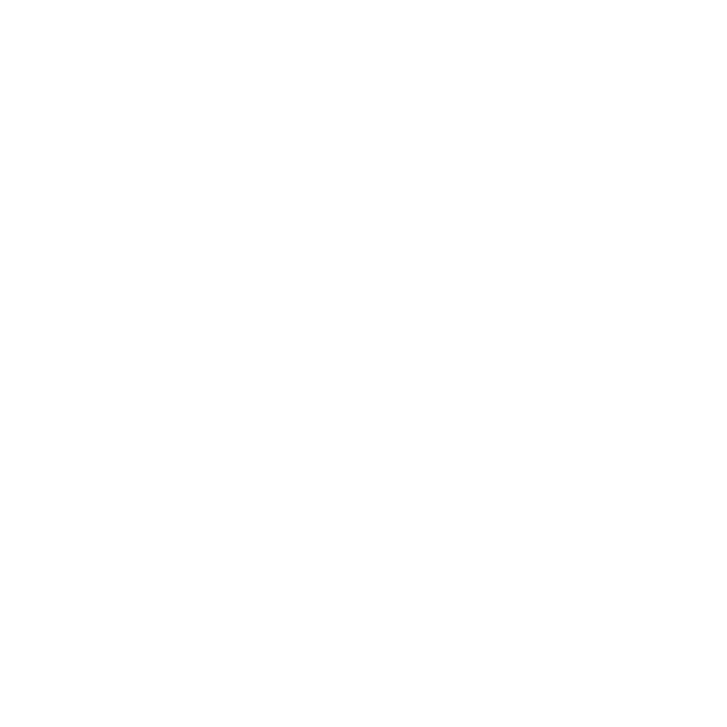 20x30auto